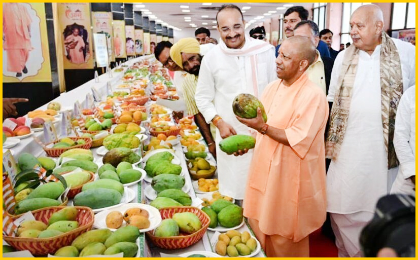 लखनऊ में 3 जुलाई से सजेगा यूपी आम महोत्सव-2026, 800 से अधिक किस्मों की प्रदर्शनी का सीएम योगी करेंगे उद्घाटन